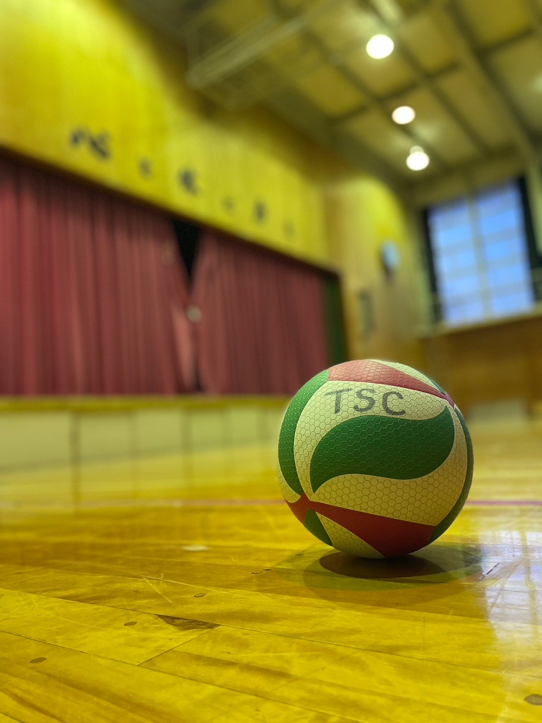 Volleyball Academy U-14女子福井拠点 無料体験会